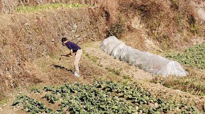 安徽新华学院劳动教育先导工程