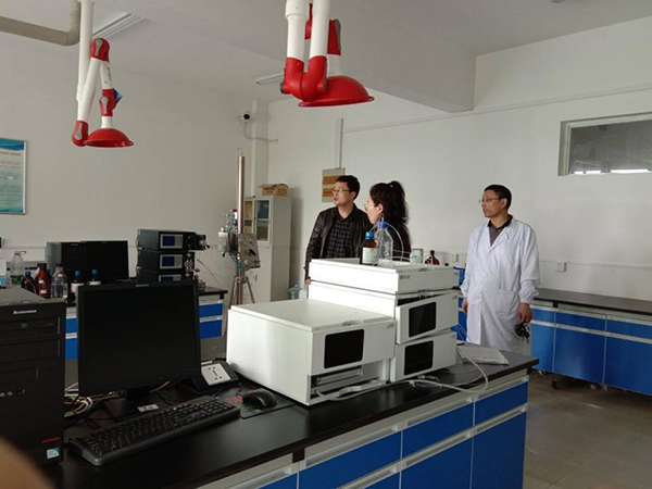 城市建设学院举行假期前安全检查交流活动