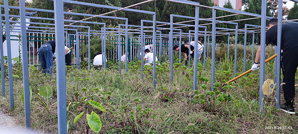 美化校园做实事，服务师生践初心---城市建设学院学生第一党支部开展园林基地清扫活动