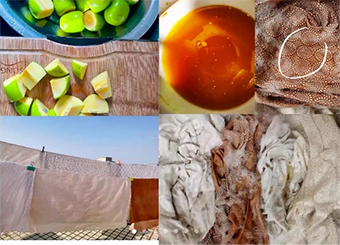 城市建设学院建筑学专业开展校园寻宝直播课“解密中国传统文化的密码——植物系列：草木染”主题活动