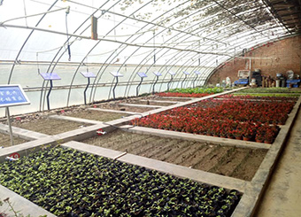 园林种植实习基地介绍