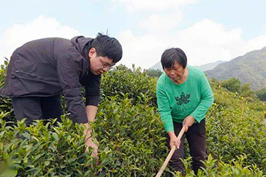 “劳动模范！”“90后新型农民！”我院校友成家乡脱贫致富带头人