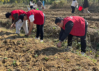 城市建设学院开展实践劳动教育活动