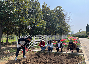 城市建设学院教师第四党支部 开展“党旗飘扬种艾草・端午飘香传文明”艾草种植