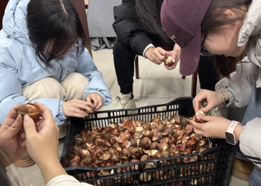 园林种植实习基地球根花卉种植及养护系列活动启幕